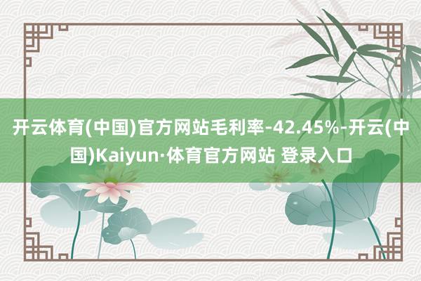 开云体育(中国)官方网站毛利率-42.45%-开云(中国)Kaiyun·体育官方网站 登录入口