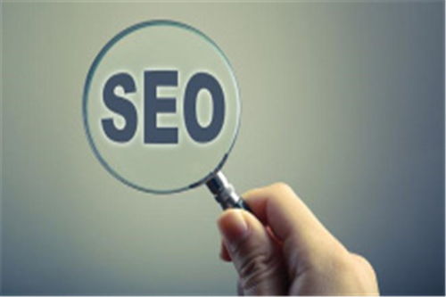 搜索引擎优化服务 如何选择靠谱的咨询与实施方案